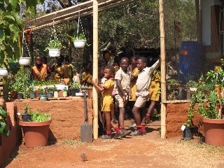 Children standing in a household tree nursery under a pole shelter