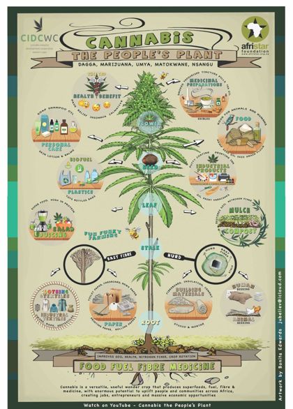 Cannabis: The People's Plant poster
