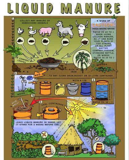 Liquid Manure poster