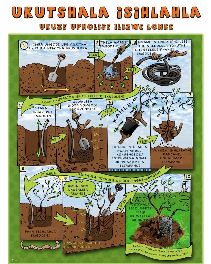 Ukutshala Isihlahla (Zulu) poster