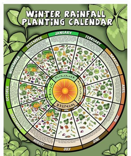 Winter Rainfall Planting Calendar poster