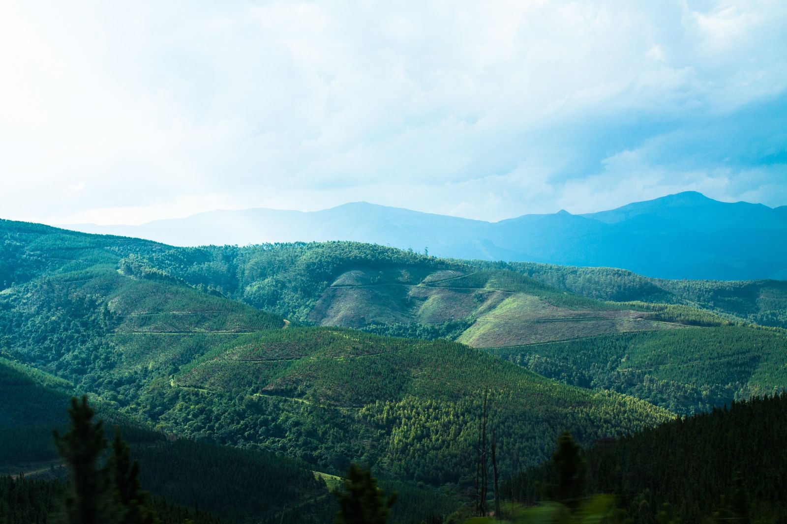 Forested hills and valleys under a wide sky