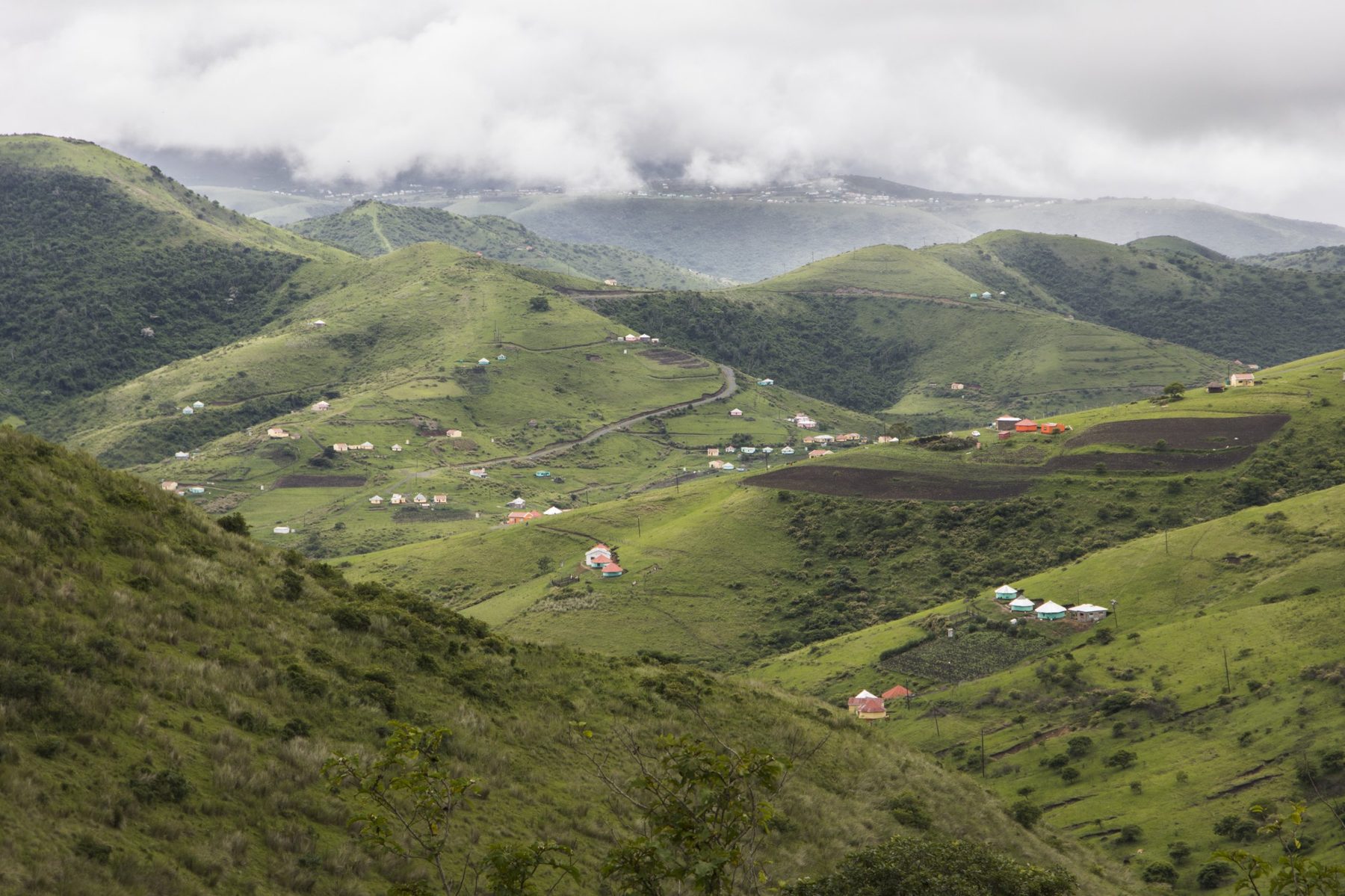 Homesteads and fields on green hills in the Eastern Cape